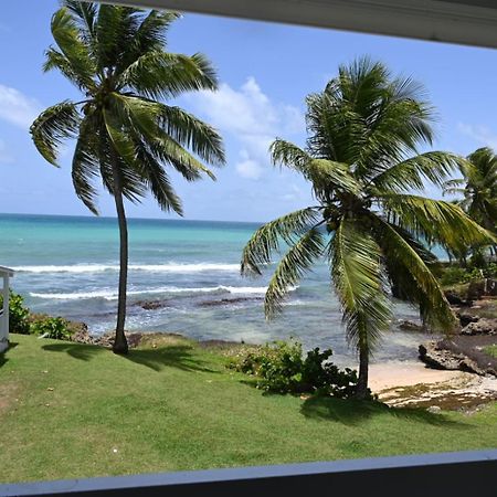 Studio Vue Sur Mer Fort D'Epee Le Gosier  Exterior photo